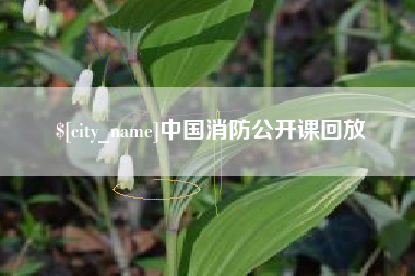 海东中国消防公开课回放