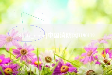 海东中国消防网1190119