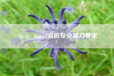 海东消防专业视力要求