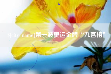海东第一波奥运金牌“九宫格”