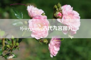 海东古代九宫图片