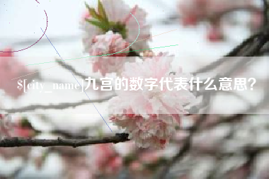海东九宫的数字代表什么意思？