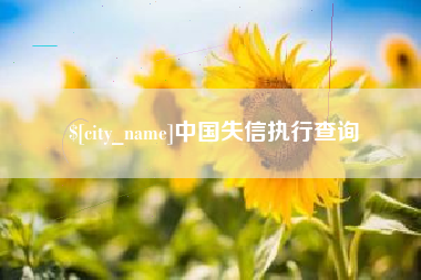 海东中国失信执行查询
