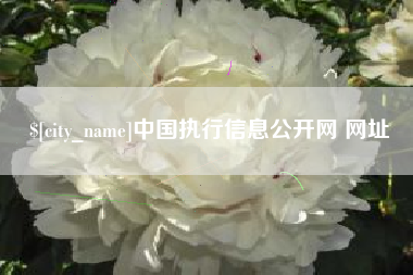 海东中国执行信息公开网 网址