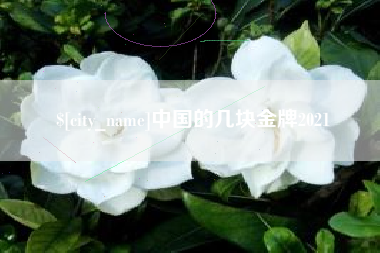 海东中国的几块金牌2021