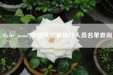 海东中国失信被执行人员名单查询