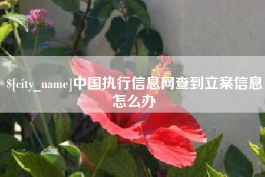 海东中国执行信息网查到立案信息怎么办