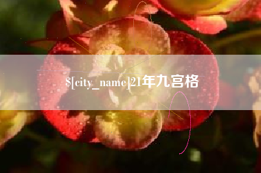 海东21年九宫格