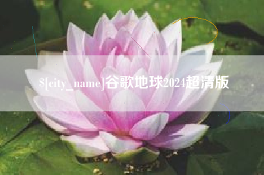 海东谷歌地球2024超清版