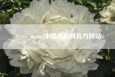 海东中国消防网官方网站