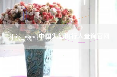 海东中国失信执行人查询官网