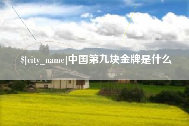 海东中国第九块金牌是什么