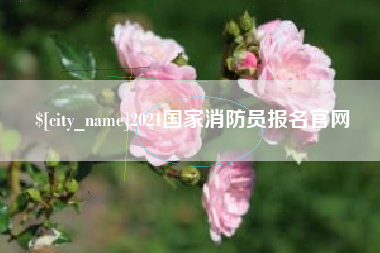 海东2021国家消防员报名官网