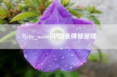海东中国金牌都是啥