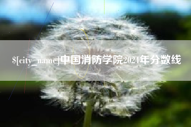 海东中国消防学院2024年分数线