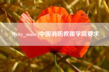 海东中国消防救援学院要求