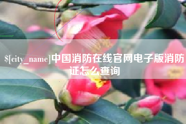 海东中国消防在线官网电子版消防证怎么查询