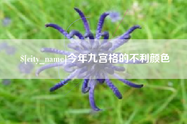 海东今年九宫格的不利颜色