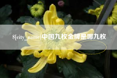 海东中国九枚金牌是哪九枚
