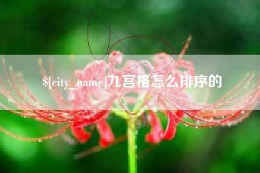 海东九宫格怎么排序的