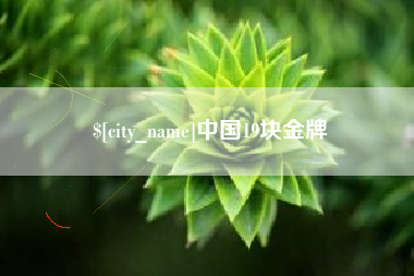 海东中国19块金牌