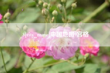 海东中国地图9宫格