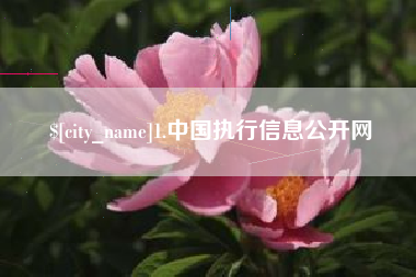 海东1.中国执行信息公开网