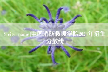 海东中国消防救援学院2024年招生分数线