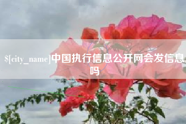 海东中国执行信息公开网会发信息吗