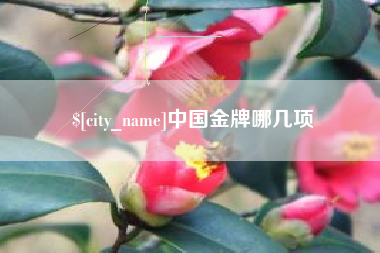 海东中国金牌哪几项