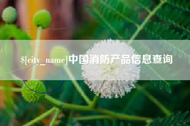 海东中国消防产品信息查询