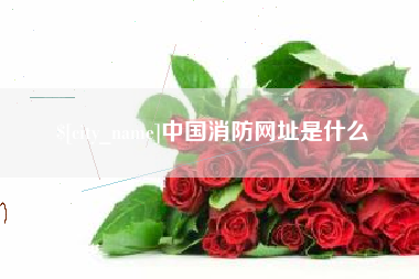 海东中国消防网址是什么