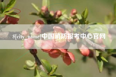 海东中国消防报考中心官网