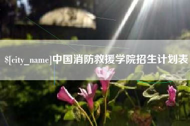 海东中国消防救援学院招生计划表
