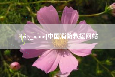 海东中国消防救援网站