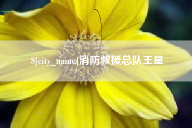 海东消防救援总队王星
