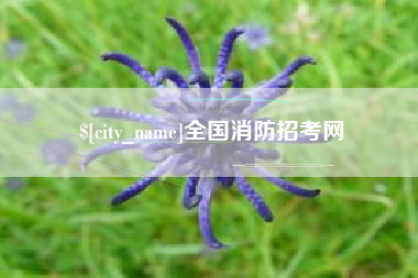 海东全国消防招考网