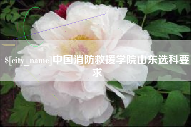 海东中国消防救援学院山东选科要求