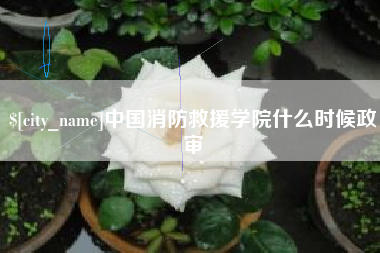 海东中国消防救援学院什么时候政审
