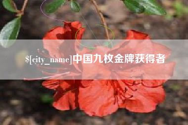 海东中国九枚金牌获得者