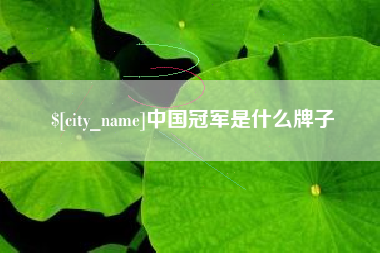 海东中国冠军是什么牌子
