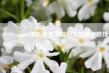 海东消防救援学院招生录取分数线2020福建