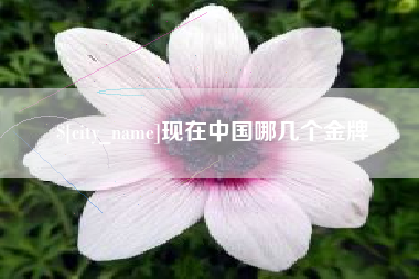 海东现在中国哪几个金牌