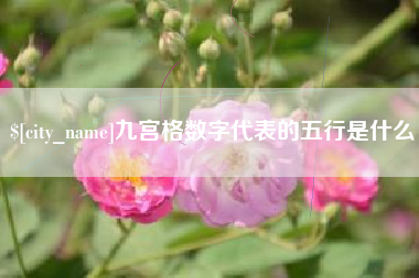 海东九宫格数字代表的五行是什么