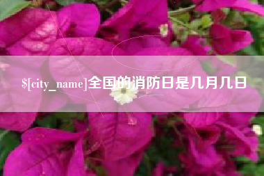 海东全国的消防日是几月几日
