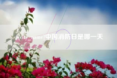 海东中国消防日是哪一天