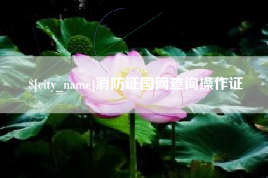 海东消防证国网查询操作证