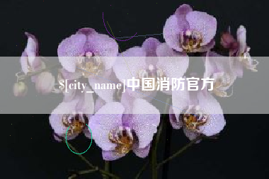 海东中国消防官方