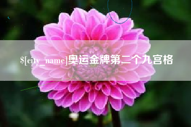 海东奥运金牌第二个九宫格