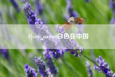 海东白色在中国